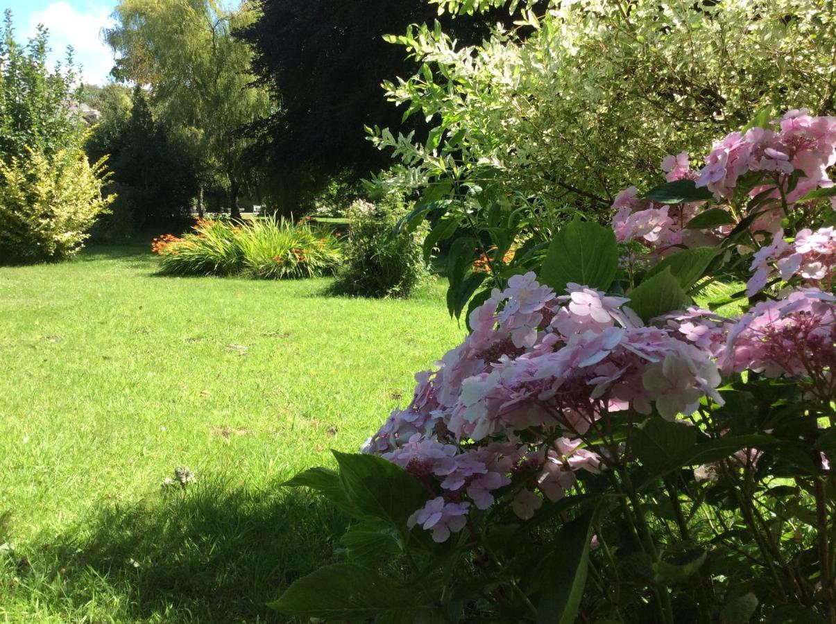 Au Fil Du Crembreux Bed and Breakfast Marquise Εξωτερικό φωτογραφία